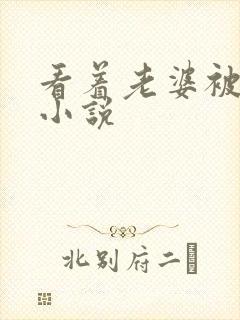 看着老婆被人操小说封面