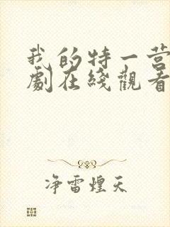 我的特一营电视剧在线观看