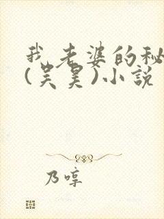 我老婆的秘密 (吴昊)小说封面