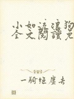 小如流浪狗01全文阅读免费无弹窗
