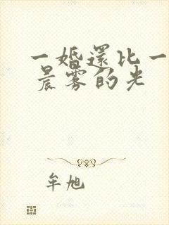 一婚还比一婚高 晨雾的光
