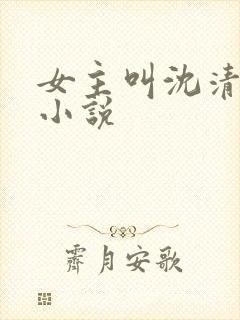 女主叫沈清荷的小说