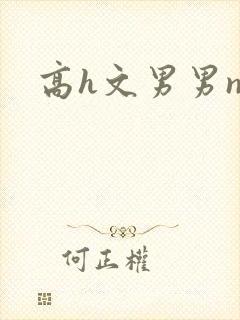 高h文男男np