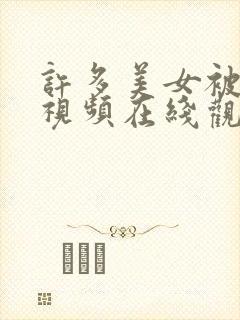 许多美女被插的视频在线观看