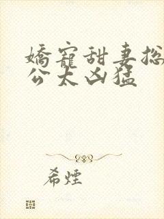 娇宠甜妻总裁老公太凶猛封面