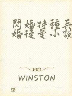 闪婚特种兵王先婚后爱小说免费阅读封面