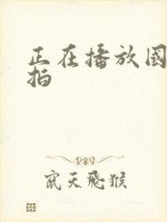 正在播放国模私拍