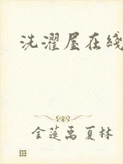 洗濯屋在线看