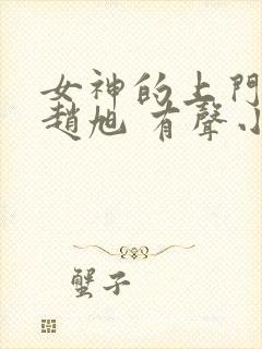 女神的上门豪婿赵旭 有声小说