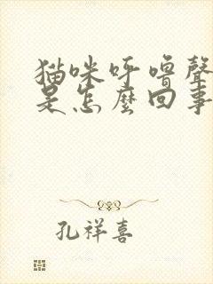 猫咪呼噜声很大是怎么回事