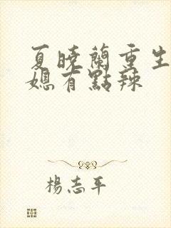 夏晓兰重生八零媳有点辣