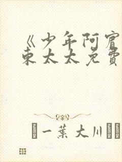 《少年阿宾》房东太太免费看封面