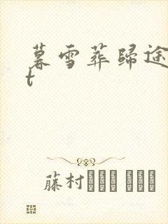 暮雪葬归途txt封面