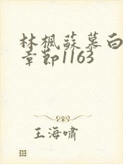 林枫苏慕白最新章节1163封面