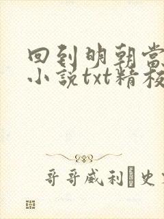 回到明朝当王爷小说txt精校版