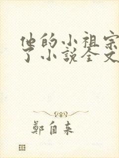 他的小祖宗甜爆了小说全文免费阅读封面