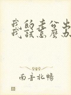 我的老公出轨了我该怎么办呢