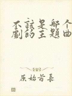 不该是哪个电视剧的主题曲