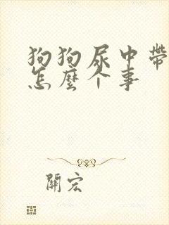 狗狗尿中带血是怎么个事