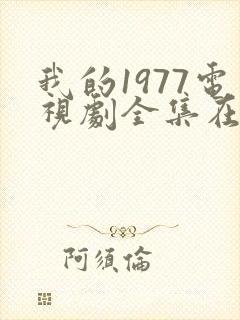 我的1977电视剧全集在线观看高清