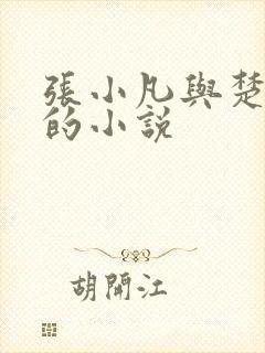 张小凡与楚清璇的小说