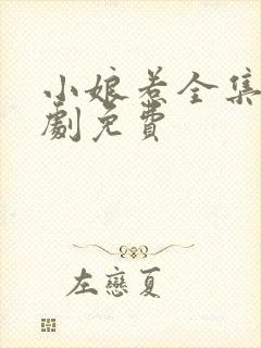 小娘惹全集电视剧免费封面