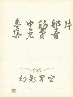 梦中的那片海全集免费看