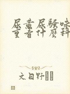 尿黄尿骚味特别重看什么科