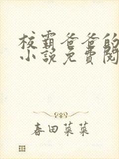 校霸爸爸的秘密小说免费阅读