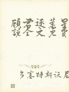 顾君逐叶星北小说全文免费阅读