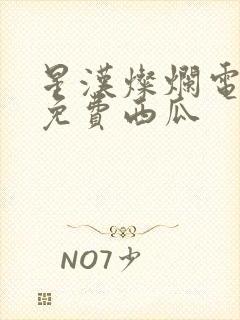 星汉灿烂电视剧免费西瓜封面