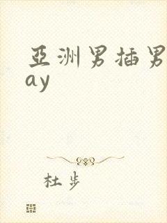 亚洲男插男同gay