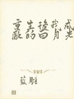 重生后我成了宿敌的白月光