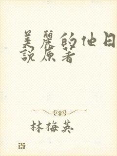 美丽的他日剧小说原著