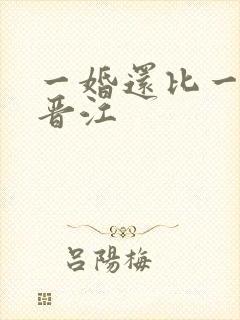 一婚还比一婚高晋江