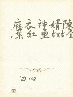 麻衣神婿陈黄皮,叶红鱼txt全文下载