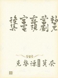 后宫露营动漫全集电视剧免费播放