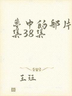 梦中的那片海全集38集