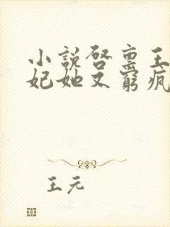 小说启禀王爷王妃她又穷疯了免费阅读