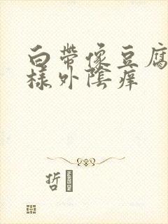 白带像豆腐渣一样外阴痒封面