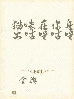 猫咪在你身边发出咕噜咕噜的声音