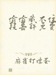 偷偷藏不住小说段嘉许免费