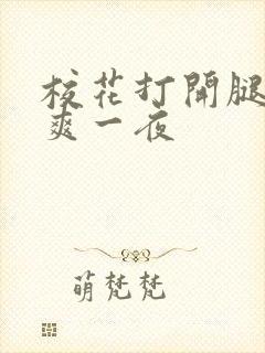 校花打开腿让我爽一夜