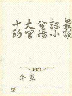 十大公认最好看的官场小说封面