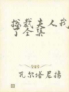 总裁夫人我当腻了全集