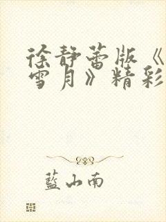 徐静蕾版《风花雪月》精彩片段