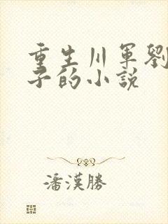 重生川军刘湘侄子的小说