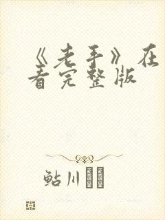 《老手》在线观看完整版封面