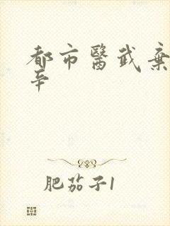 都市医武弃少叶辛