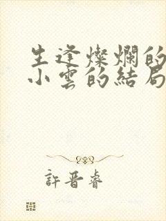 生逢灿烂的日子小云的结局封面